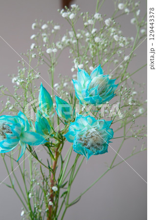 白い部屋に置かれたセルリアとカスミソウ 白い部屋に置かれたセルリアとカスミソウ 129443378