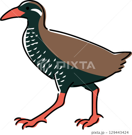 手描きのヤンバルクイナのイラスト 手描きのヤンバルクイナのイラスト 129443424