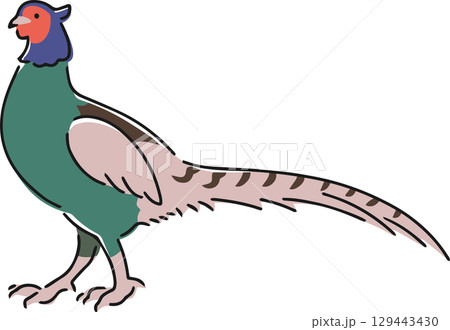 手描きのキジのイラスト 手描きのキジのイラスト 129443430
