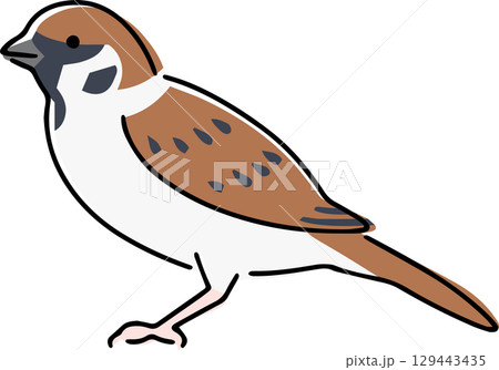 手描きのスズメのイラスト 129443435