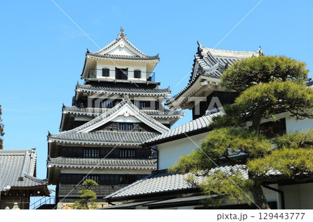 城を見上げる 129443777