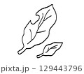 葉っぱ_線 129443796