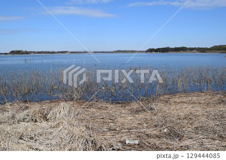 牛久沼 茨城県龍ヶ崎市 牛久沼 茨城県龍ヶ崎市 129444085