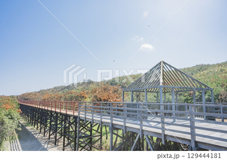 茨城　鹿島灘海浜公園（鉾田市） 129444181