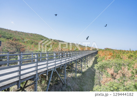 茨城　鹿島灘海浜公園（鉾田市） 129444182
