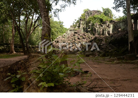 アンコール遺跡群、ベンメリアの風景 アンコール遺跡群、ベンメリアの風景 129444231