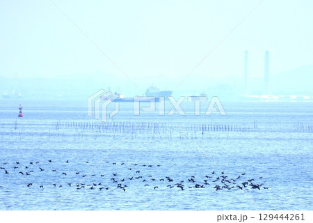 引き潮時の遠浅の浜辺 引き潮時の遠浅の浜辺 129444261
