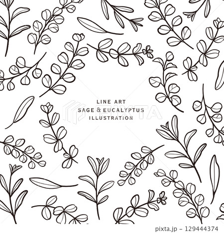 ユーカリとセージの線描きフレーム 129444374