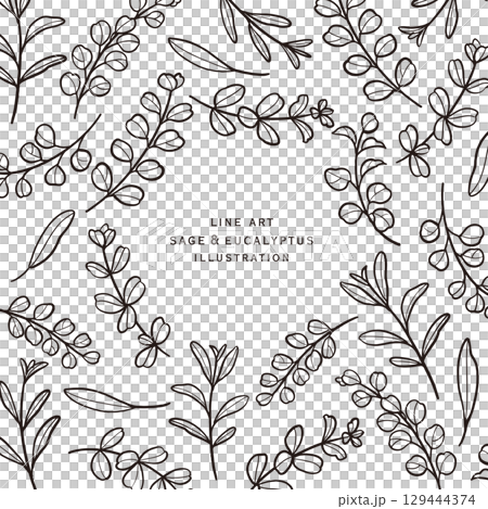 Eucalyptus and sage line drawing frame 129444374
