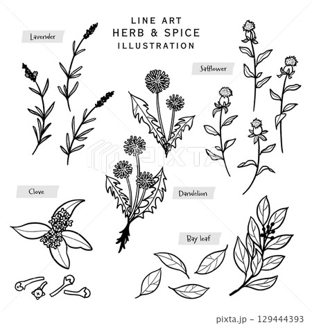 キッチンハーブとスパイスの線描きイラスト-2 129444393