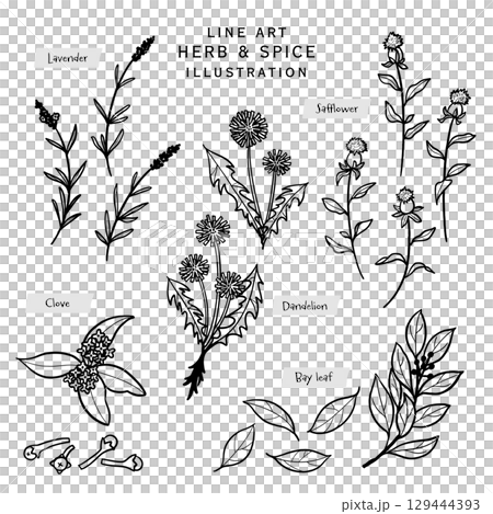 キッチンハーブとスパイスの線描きイラスト-2 129444393