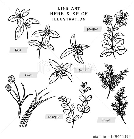 キッチンハーブとスパイスの線描きイラスト-4 129444395