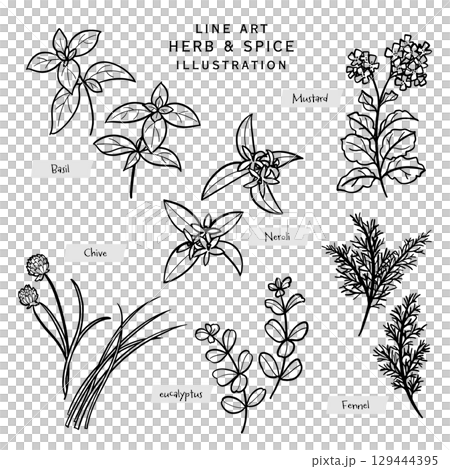 キッチンハーブとスパイスの線描きイラスト-4 129444395