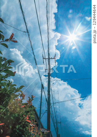 夏空 129444644