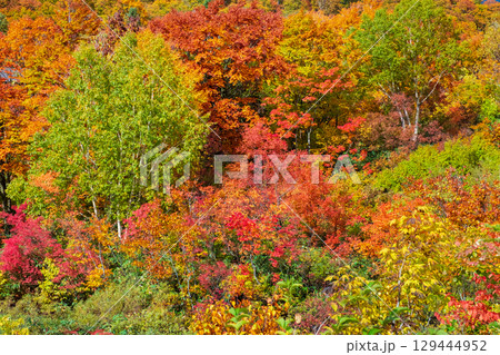 八幡平の紅葉 八幡平の紅葉 129444952