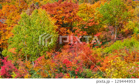 八幡平の紅葉 八幡平の紅葉 129444953