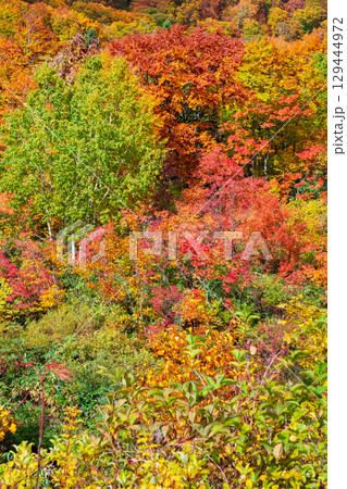 八幡平の紅葉 八幡平の紅葉 129444972