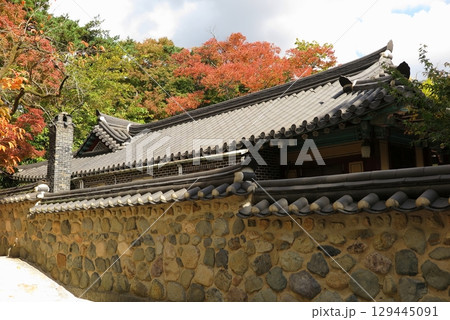 世界遺産に指定された仏国寺（韓国、慶州）：モミジに彩られた境内の一角 129445091