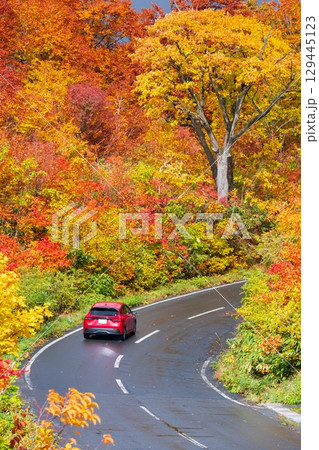 八幡平の紅葉（八幡平アスピーテライン） 129445123