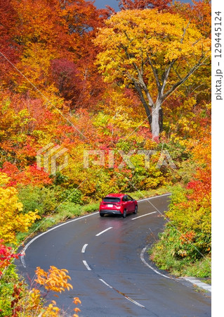 八幡平の紅葉（八幡平アスピーテライン） 129445124