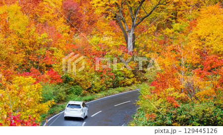 八幡平の紅葉(八幡平アスピーテライン) 八幡平の紅葉(八幡平アスピーテライン) 129445126