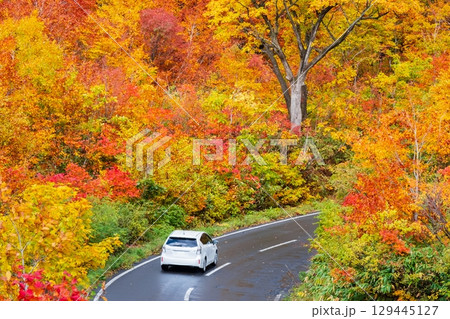 八幡平の紅葉（八幡平アスピーテライン） 129445127