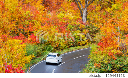 八幡平の紅葉(八幡平アスピーテライン) 八幡平の紅葉(八幡平アスピーテライン) 129445128