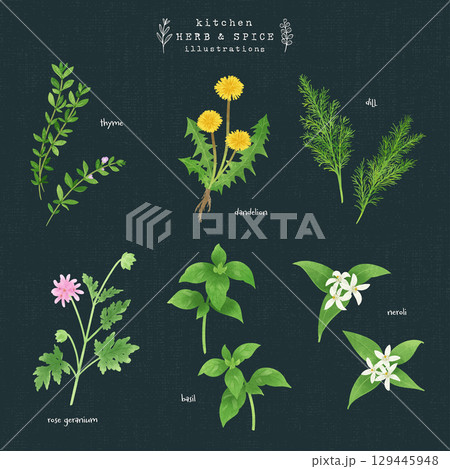 キッチンハーブとスパイスの水彩イラスト-3（背景 紺） 129445948