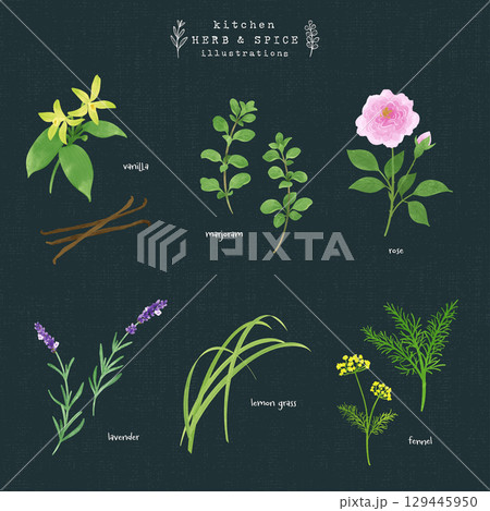 キッチンハーブとスパイスの水彩イラスト-4（背景 紺） 129445950