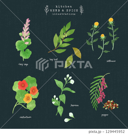 キッチンハーブとスパイスの水彩イラスト-6（背景 紺） 129445952