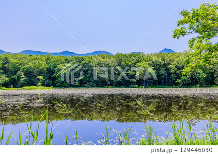 北海道知床半島にある知床五湖を、6月の澄んだ青空の下で散策する風景。湖面に映る山々と原生林が美しい。 129446030