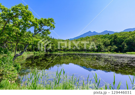 北海道知床半島にある知床五湖を、6月の澄んだ青空の下で散策する風景。湖面に映る山々と原生林が美しい。 129446031