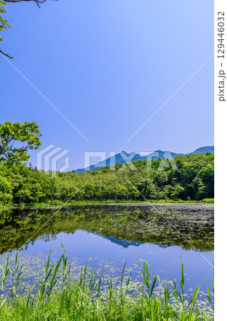 北海道知床半島にある知床五湖を、6月の澄んだ青空の下で散策する風景。湖面に映る山々と原生林が美しい。 129446032