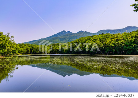 北海道知床半島にある知床五湖を、6月の澄んだ青空の下で散策する風景。湖面に映る山々と原生林が美しい。 129446037