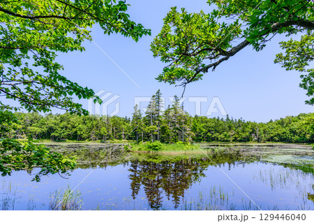 北海道知床半島にある知床五湖を、6月の澄んだ青空の下で散策する風景。湖面に映る山々と原生林が美しい。 129446040
