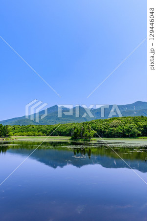 北海道知床半島にある知床五湖を、6月の澄んだ青空の下で散策する風景。湖面に映る山々と原生林が美しい。 129446048
