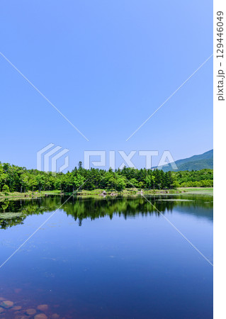 北海道知床半島にある知床五湖を、6月の澄んだ青空の下で散策する風景。湖面に映る山々と原生林が美しい。 129446049