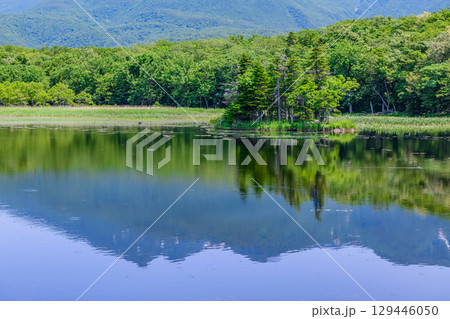 北海道知床半島にある知床五湖を、6月の澄んだ青空の下で散策する風景。湖面に映る山々と原生林が美しい。 北海道知床半島にある知床五湖を、6月の澄んだ青空の下で散策する風景。湖面に映る山々と原生林が美しい。 129446050