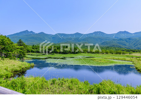 北海道知床半島にある知床五湖を、6月の澄んだ青空の下で散策する風景。湖面に映る山々と原生林が美しい。 129446054