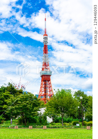 東京タワー（芝公園） 129446093