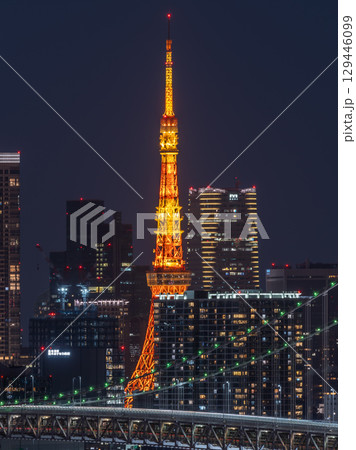 東京タワーとレインボーブリッジの夜景(テレコムセンター展望台) 東京タワーとレインボーブリッジの夜景(テレコムセンター展望台) 129446099