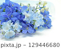 デルフィニウムのブーケ 129446680