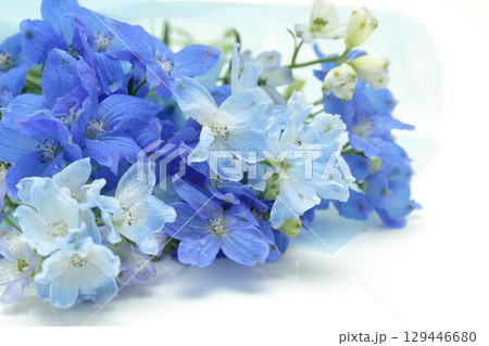 デルフィニウムのブーケ 129446680