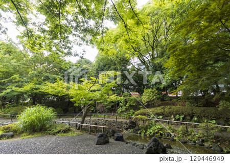 横浜公園の彼我庭園の夏 横浜公園の彼我庭園の夏 129446949