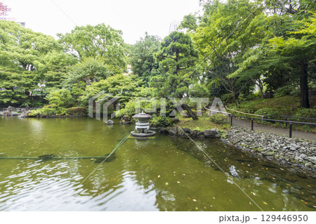 横浜公園の彼我庭園の夏 129446950
