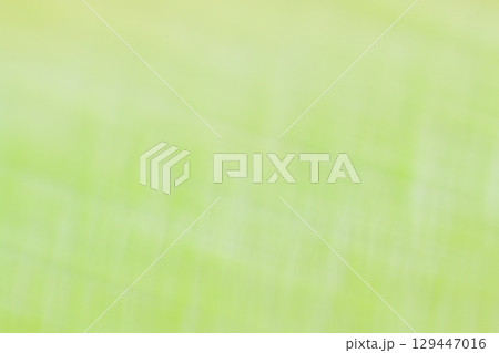 緑色系くすみカラー　流れるようなラインの抽象的背景 129447016