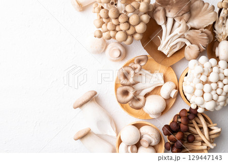 Fresh Champignon, Yanagi, Shimeji, Oyster and King oyster mushroom on white background Fresh Champignon, Yanagi, Shimeji, Oyster and King oyster mushroom on white background 129447143