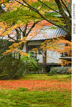 大原　三千院　有清園　美しい紅葉と散りもみじ　（京都府京都市左京区） 129447409