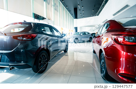 Car parked in luxury showroom. Car dealership office. Car showroom business. New car parked in modern showroom. Auto for sale and rent business. Automobile leasing and insurance. Electric automobile. Car parked in luxury showroom. Car dealership office. Car showroom business. New car parked in modern showroom. Auto for sale and rent business. Automobile leasing and insurance. Electric automobile. 129447577