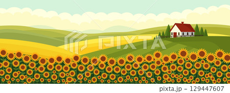 Sunflower field landscape with house flat vector illustration. 129447607